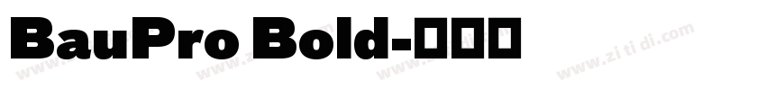 BauPro Bold字体转换